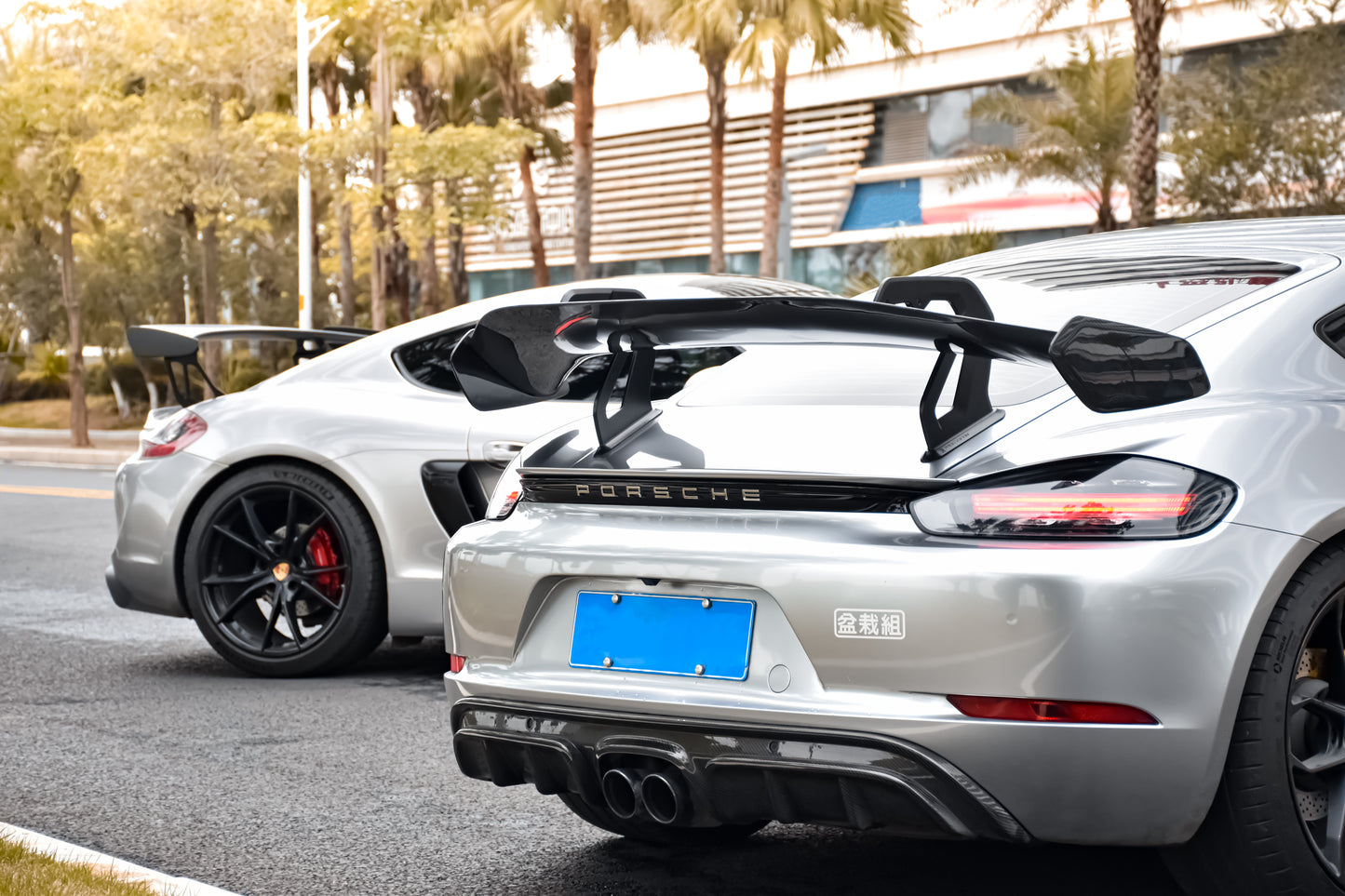 Porsche GT4RS Style Carbon Fiber Rear Spoiler